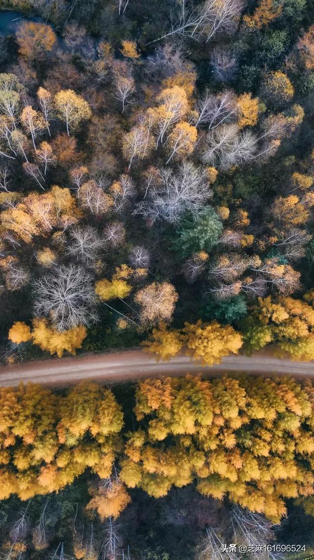 用一句话来赞美秋色(写一句话来赞美秋色)