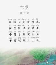 小池 杨万里(小池杨万里古诗解释意思)