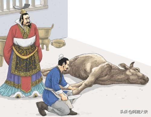 庖丁解牛读音(庖丁解牛读音是什么)