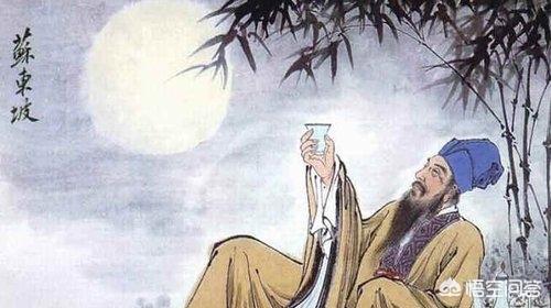 苏东坡个人详细介绍（苏东坡个人详细介绍600字作文）