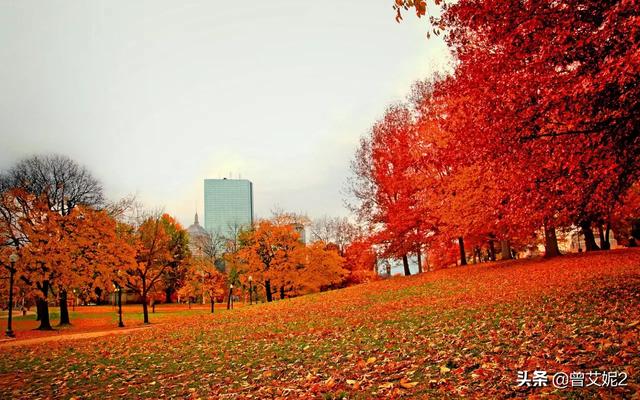 秋天意境很美的词(秋天意境的成语)
