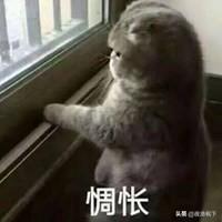 惆怅的意思（归去来兮辞惆怅的意思）