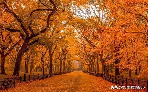 描写秋天凄凉氛围的语句(描写秋天凄凉的优美段落)