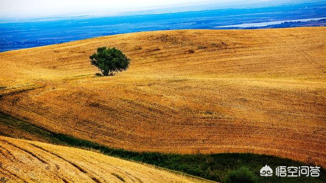 形容初秋的最优雅诗词(形容初秋的词语)