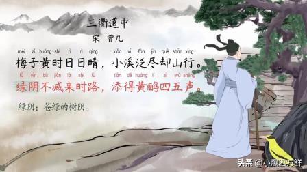 三衢道中是什么意思