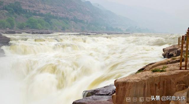 君不见黄河之水天上来出自哪首诗