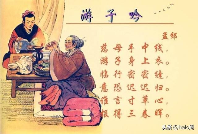 有关亲情的诗句（有关亲情的诗句10句）