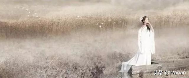 蒹葭全文拼音版翻译(蒹葭完整版及翻译带拼音)