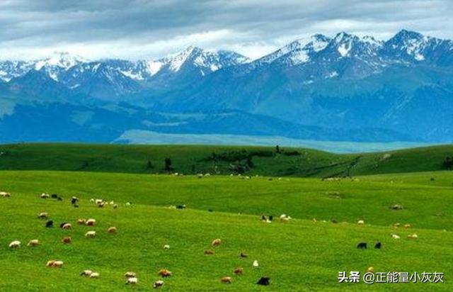 描写草原的古诗名句