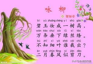 咏柳古诗意思全解（《咏柳》原文及翻译）