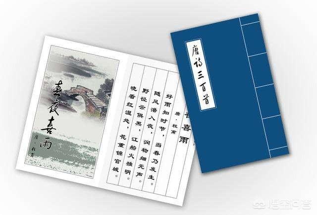 唐诗三百首100首(唐诗三百首100首合集)