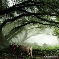 七言绝句标准格式（七言绝句的平仄格律一览表）