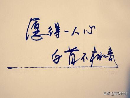 与子偕老执子之手的上一句（与子偕老执子之手出自）