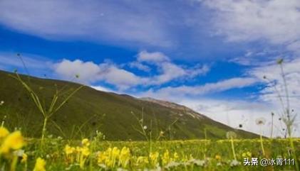 浅草才能没马蹄 太污了（浅草才能没马蹄怎么读）