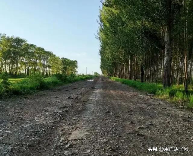 朗诵文章（党建立104周年朗诵文章）