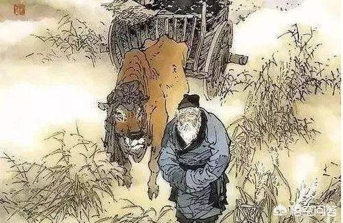 卖炭翁翻译简短(卖炭翁翻译简洁版)