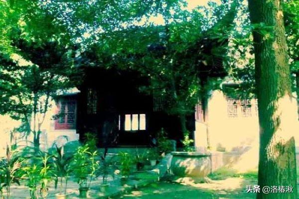 竹石古诗的意思解释(竹石古诗诗句意思)