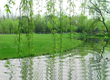 表达心情极度悲伤的诗词（表达心情极度悲伤的诗词名句）