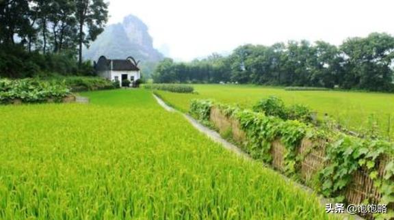 描写农村田园风光的古诗（描写农村田园风光优美词语）