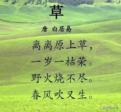 赋得古原草送别白居易(赋得古原草送别白居易解释)