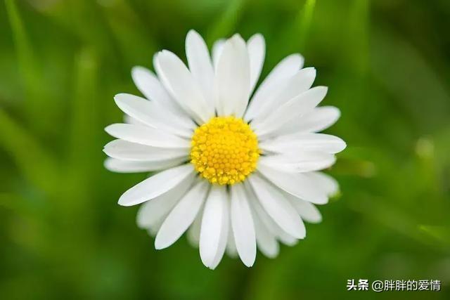 充满工作正能量的句子（充满工作正能量的句子抖音文案）