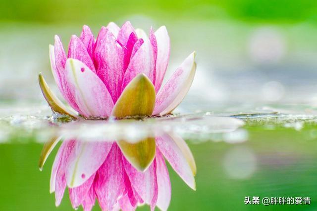 人生哲理经典句子（人生哲理经典句子摘抄）