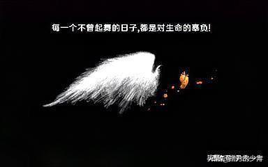 名人名言励志语录（名人名言励志语录摘抄）