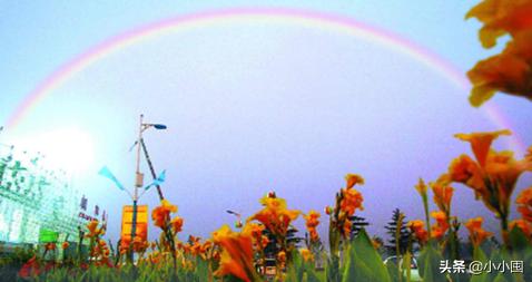 网友自创现代诗（自创的现代诗怎么写）