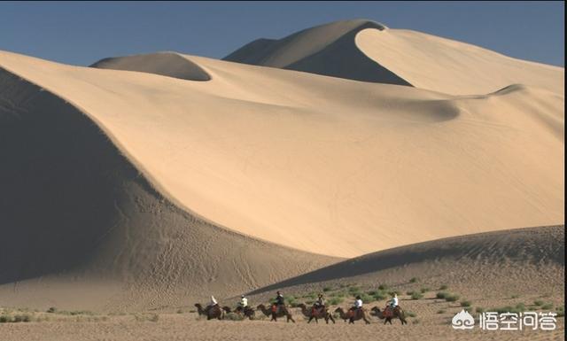 梦驼铃歌词（梦驼铃歌词费玉清）