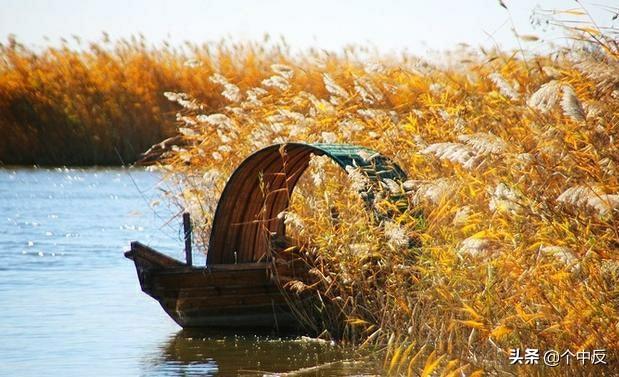 孤舟一系故园心（孤舟一系故园心解三个数字）