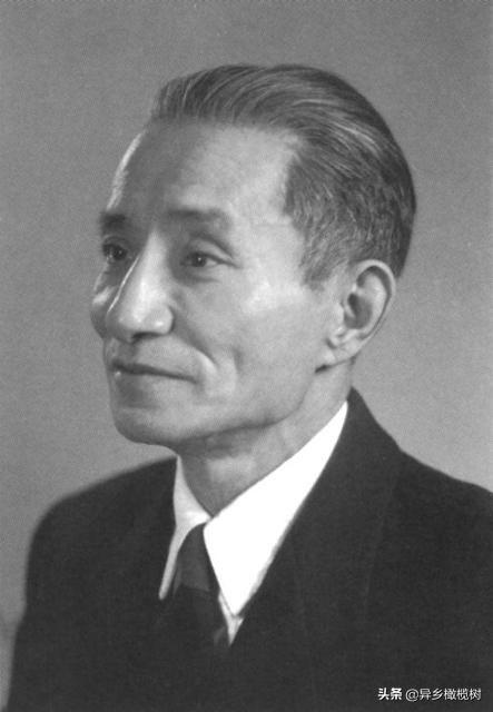 岳飞满江红朗诵一等奖视频（董卿朗读巜满江红）