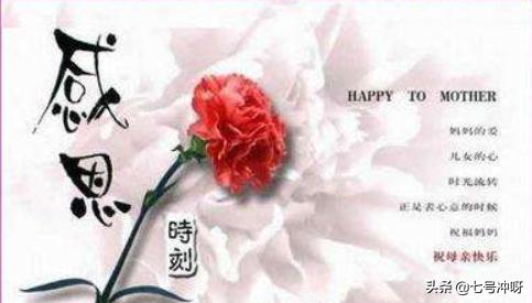 有关母爱的名言(有关母爱的名言警句20句简短)