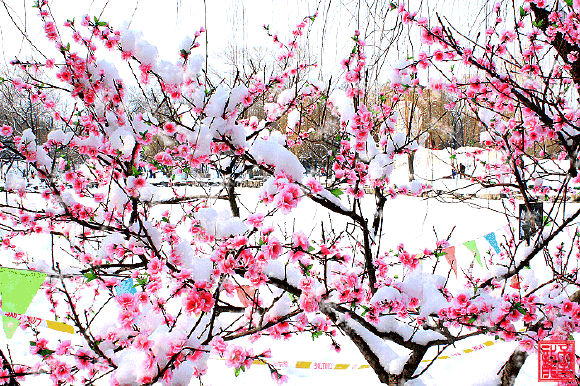 动人春色不须多（动人春色不须多全诗）