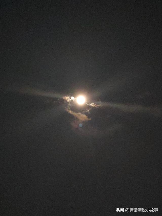 一二三年级中秋诗句（小学生中秋古诗三年级四句古诗）