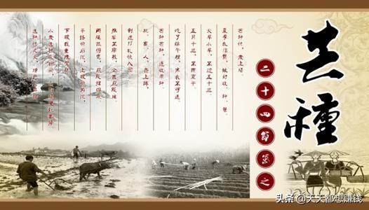 关于芒种的诗句_关于芒种的诗句有哪些