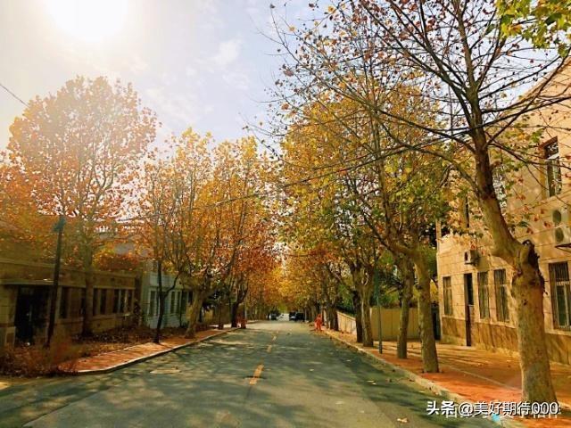 初冬的优美句子_初冬优美句子摘抄简短