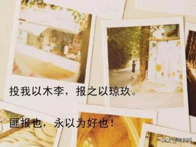 投我以木瓜下一句是什么_投我以木瓜怎么读