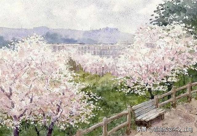 席慕容《回眸》（席慕容《回眸》全诗）