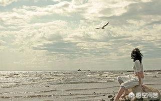 古诗词浪漫的句子爱情_浪漫的古诗句情话