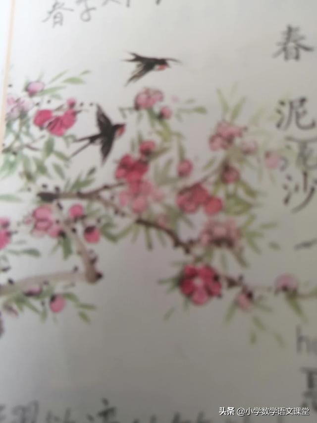 三衢道中的诗意三年级下册_三衢道中的诗意三年级下册第一课