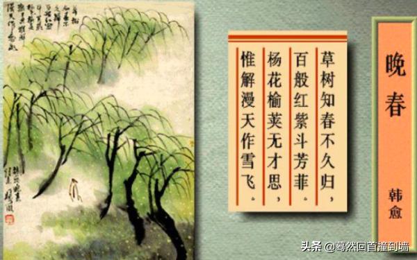 晚春主旨_晚春主旨情感