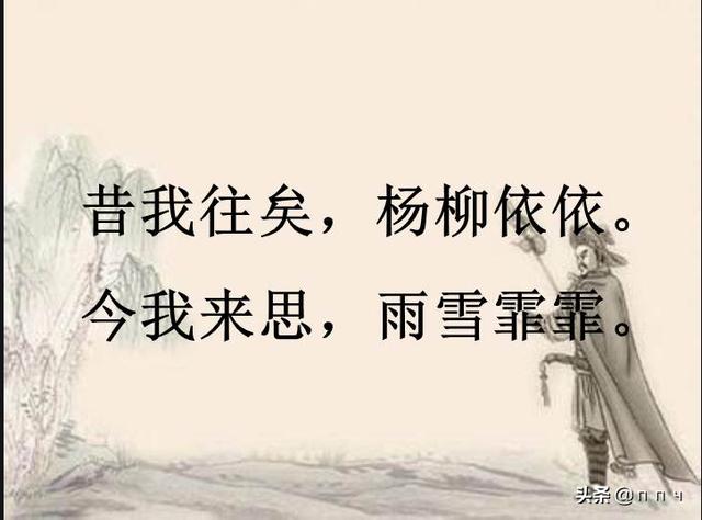 采薇这首诗的意思是什么_采薇这篇诗的意思