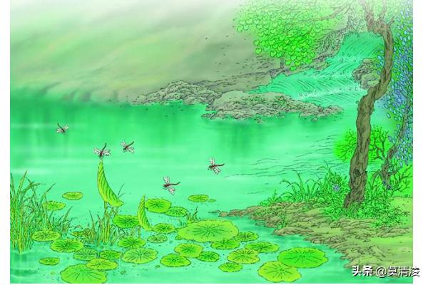 小池古诗的意思（小池古诗意思解释幼儿园）