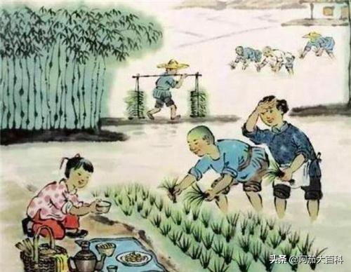 村庄儿女各当家的意思_村庄儿女各当家的意思和造句