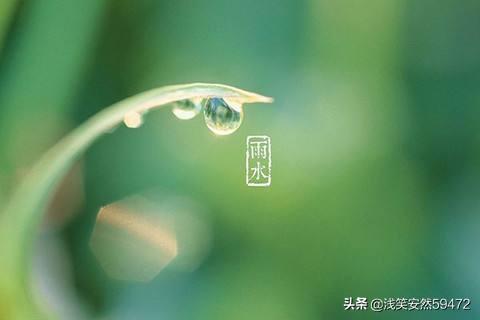 随风潜入夜 润物细无声的意思