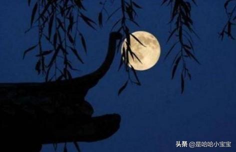 十五夜望月意思翻译_十五夜望月的解释译文