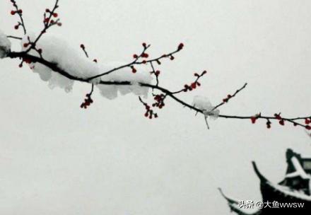 古诗梅花王安石视频_古诗《梅花》王安石