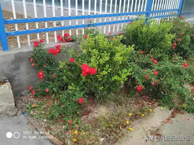 经典励志现代诗（十首励志现代诗）