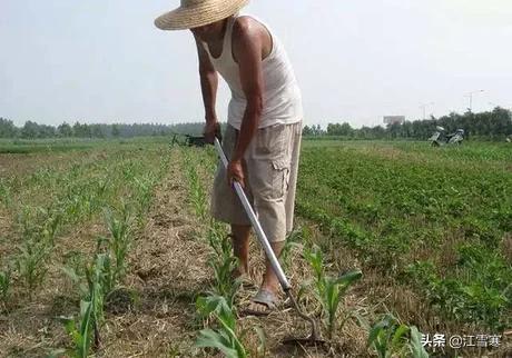 劳动古诗4句（劳动的古诗6首）