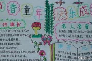 阅读手抄报第一名（四上阅读手抄报第一名）